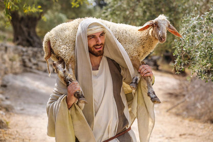 Plate 5 - The Lost is Found