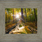 Plate 4 - Suddenly a Light Descended!