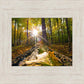 Plate 4 - Suddenly a Light Descended!