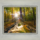 Plate 4 - Suddenly a Light Descended!