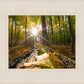 Plate 4 - Suddenly a Light Descended!