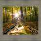 Plate 4 - Suddenly a Light Descended!