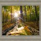 Plate 4 - Suddenly a Light Descended!