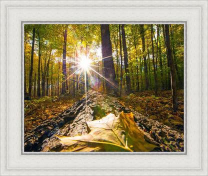 Plate 4 - Suddenly a Light Descended!