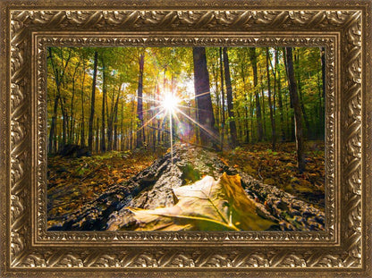 Plate 4 - Suddenly a Light Descended!