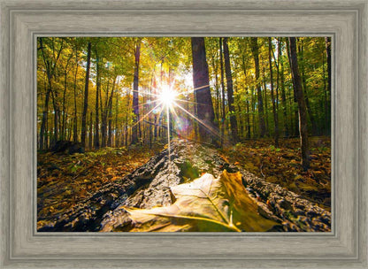 Plate 4 - Suddenly a Light Descended!