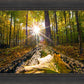 Plate 4 - Suddenly a Light Descended!