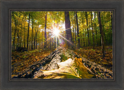 Plate 4 - Suddenly a Light Descended!