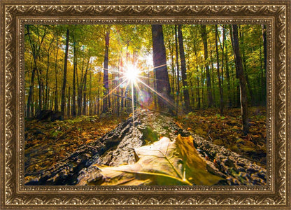 Plate 4 - Suddenly a Light Descended!