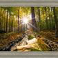 Plate 4 - Suddenly a Light Descended!