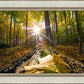 Plate 4 - Suddenly a Light Descended!