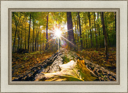 Plate 4 - Suddenly a Light Descended!