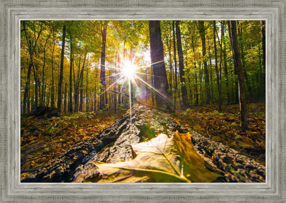 Plate 4 - Suddenly a Light Descended!