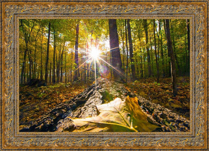 Plate 4 - Suddenly a Light Descended!