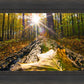 Plate 4 - Suddenly a Light Descended!