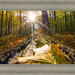 Plate 4 - Suddenly a Light Descended!