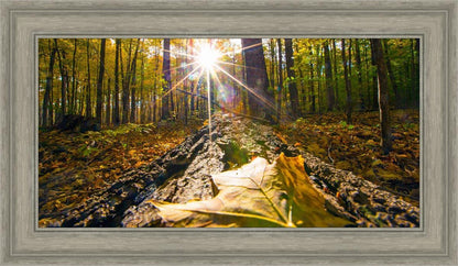 Plate 4 - Suddenly a Light Descended!