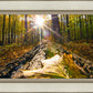 Plate 4 - Suddenly a Light Descended!