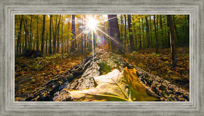 Plate 4 - Suddenly a Light Descended!