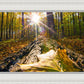 Plate 4 - Suddenly a Light Descended!