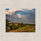 Plate 1 - Downham Farm Morning Wall