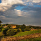 Plate 1 - Downham Farm Morning Wall