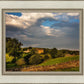 Plate 1 - Downham Farm Morning Wall