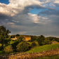 Plate 1 - Downham Farm Morning Wall