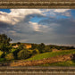 Plate 1 - Downham Farm Morning Wall