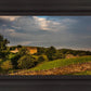 Plate 1 - Downham Farm Morning Wall