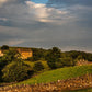 Plate 1 - Downham Farm Morning Wall