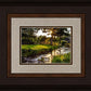 Plate 4 - Downham Spring Brook at Sunset