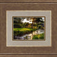 Plate 4 - Downham Spring Brook at Sunset
