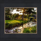 Plate 4 - Downham Spring Brook at Sunset
