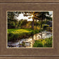 Plate 4 - Downham Spring Brook at Sunset