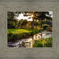 Plate 4 - Downham Spring Brook at Sunset