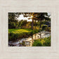 Plate 4 - Downham Spring Brook at Sunset