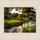 Plate 4 - Downham Spring Brook at Sunset