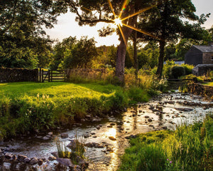 Plate 4 - Downham Spring Brook at Sunset