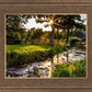 Plate 4 - Downham Spring Brook at Sunset