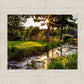 Plate 4 - Downham Spring Brook at Sunset