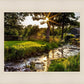 Plate 4 - Downham Spring Brook at Sunset
