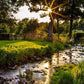 Plate 4 - Downham Spring Brook at Sunset