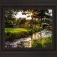 Plate 4 - Downham Spring Brook at Sunset
