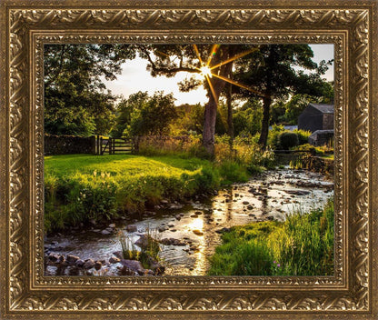 Plate 4 - Downham Spring Brook at Sunset