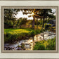 Plate 4 - Downham Spring Brook at Sunset