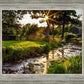 Plate 4 - Downham Spring Brook at Sunset
