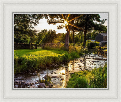 Plate 4 - Downham Spring Brook at Sunset