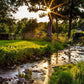 Plate 4 - Downham Spring Brook at Sunset