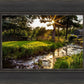 Plate 4 - Downham Spring Brook at Sunset